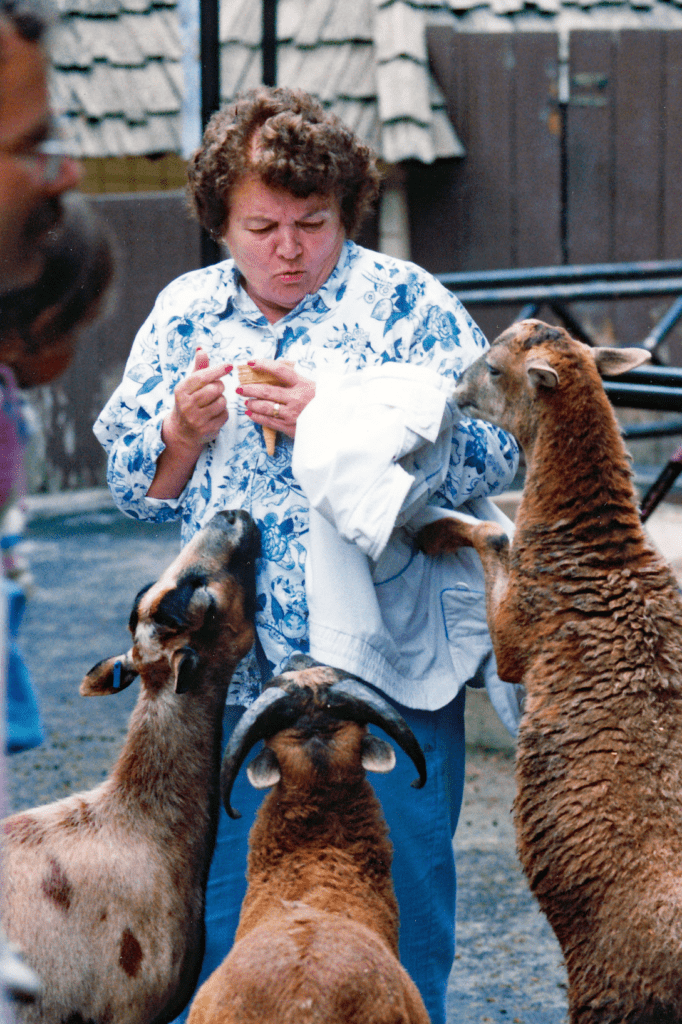 Older woman trying to feed greedy goats.