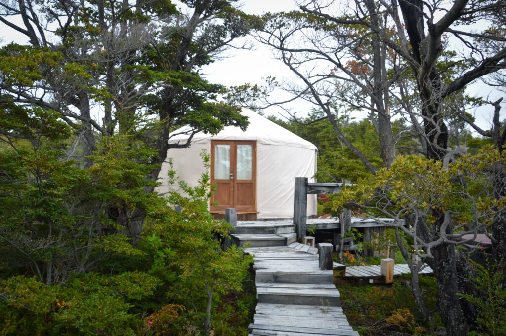 white canvas yurt at the end of a wood walkway in a forest of pine trees